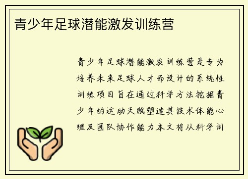 青少年足球潜能激发训练营